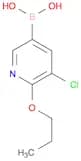 5-Chloro-6-propoxypyridine-3-boronic acid