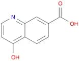 4-Hydroxyquinoline-7-carboxylic acid