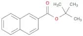 2-Naphthalenecarboxylic acid, 1,1-dimethylethyl ester