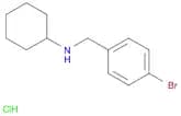 N-(4-Bromobenzyl)cyclohexanamine, HCl