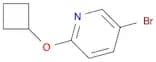 5-Bromo-2-cyclobutoxypyridine