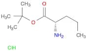 L-Norvaline tert-butyl ester, HCl