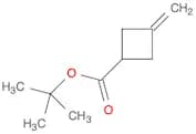 Cyclobutanecarboxylic acid, 3-methylene-, 1,1-dimethylethyl ester