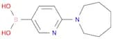 (6-(Azepan-1-yl)pyridin-3-yl)boronic acid