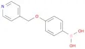 (4-(Pyridin-4-ylmethoxy)phenyl)boronic acid