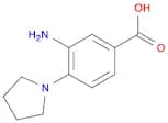 3-Amino-4-(pyrrolidin-1-yl)benzoic acid