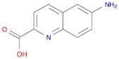 6-aminoquinoline-2-carboxylic acid