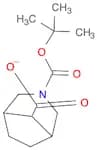 3-Azabicyclo[3.2.1]octane-3,8-dicarboxylic acid, 3-(1,1-dimethylethyl) ester