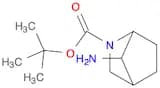 2-Azabicyclo[2.2.1]heptane-2-carboxylic acid, 7-amino-, 1,1-dimethylethyl ester