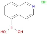 Isoquinoline-5-boronic acid, HCl
