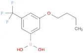 3-Butoxy-5-trifluoromethylphenylboronic acid