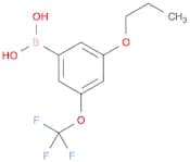 3-Propoxy-5-(trifluoromethoxy)phenylboronic acid