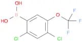 2,4-Dichloro-5-(trifluoromethoxy)phenylboronic acid