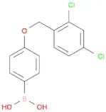 4-(2,4-Dichlorophenylmethoxy)phenylboronic acid