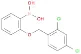 2-(2,4-dichlorophenylmethoxy)phenylboronic acid