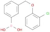 3-(2-Chlorophenoxymethyl)phenylboronic acid