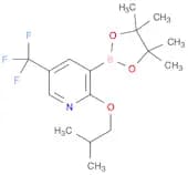 2-Isobutoxy-5-(trifluoromethyl)pyridine-3-boronic acid, pinacol ester