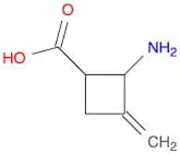 Cyclobutanecarboxylic acid, 2-amino-3-methylene-