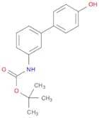 Carbamic acid, N-(4'-hydroxy[1,1'-biphenyl]-3-yl)-, 1,1-dimethylethyl ester