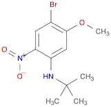 2-Bromo-5-t-butylamino-4-nitroanisole
