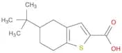 Benzo[b]thiophene-2-carboxylic acid, 5-(1,1-dimethylethyl)-4,5,6,7-tetrahydro-