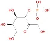 (3S,4R,5R)-1,4,5,6-Tetrahydroxy-2-oxohexan-3-yl dihydrogen phosphate