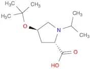 (2S,4R)-4-TERT-BUTOXY-1-ISOPROPYLPROLINE