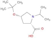 (2S,4S)-4-TERT-BUTOXY-1-ISOPROPYL-PROLINE