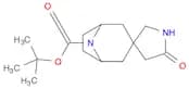tert-Butyl 5'-oxo-8-azaspiro[bicyclo[3.2.1]octane-3,3'-pyrrolidine]-8-carboxylate