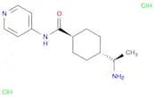 (1R,4r)-4-((R)-1-aminoethyl)-N-(pyridin-4-yl)cyclohexanecarboxamide dihydrochloride