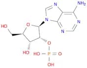 2'-Adenylic acid