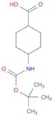 Cyclohexanecarboxylic acid, 4-[[(1,1-dimethylethoxy)carbonyl]amino]-