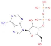 Adenosine 3'-(trihydrogen diphosphate) (9CI)