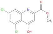 2-Quinolinecarboxylic acid, 5,7-dichloro-4-hydroxy-, methyl ester