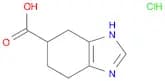 1H-Benzimidazole-6-carboxylic acid, 4,5,6,7-tetrahydro-, hydrochloride (1:1)