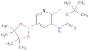 3-tert-butyloxycarbonylamino-2-fluoropyridine-5-boronic acid pinacol ester