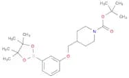 3-(N-BOC-Piperidin-4-ylmethoxy)phenylboronic acid