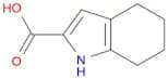 1H-Indole-2-carboxylic acid, 4,5,6,7-tetrahydro-