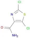 dichloro-1,3-thiazole-4-carboxamide