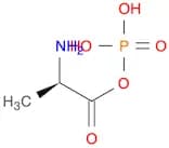 D-Alanine, anhydride with phosphoric acid (1:1)