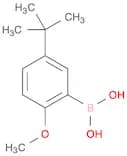 5-t-Butyl-2-methoxyphenylboronic acid