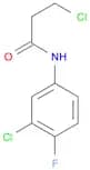 Propanamide, 3-chloro-N-(3-chloro-4-fluorophenyl)-
