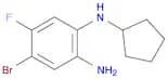 4-Bromo-1-N-cyclopentyl-5-fluorobenzene-1,2-diamine
