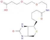 Propanoic acid, 3-[2-[2-[[5-[(3aR,4R,6aS)-hexahydro-2-oxo-1H-thieno[3,4-d]imidazol-4-yl]-1-oxopent…