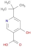 6-(tert-Butyl)-4-hydroxynicotinic acid