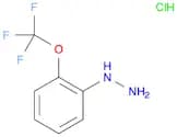 2-(Trifluoromethoxy)phenylhydrazine, HCl