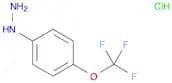 4-(Trifluoromethoxy)phenylhydrazine, HCl