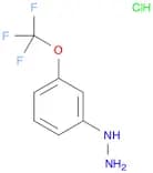 Hydrazine, [3-(trifluoromethoxy)phenyl]-, hydrochloride (1:1)
