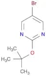 5-Bromo-2-(tert-butoxy)pyrimidine