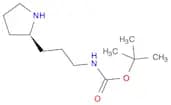 Carbamic acid, N-[3-(2R)-2-pyrrolidinylpropyl]-, 1,1-dimethylethyl ester